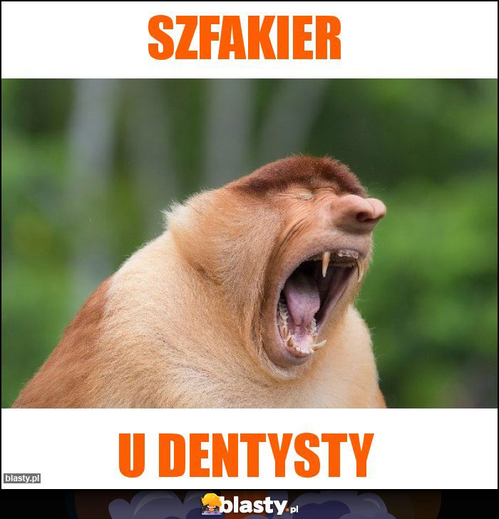 Szfakier