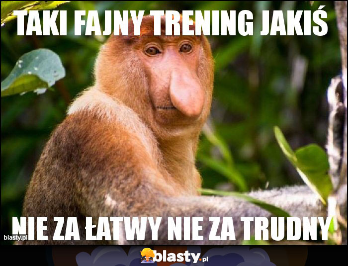 taki fajny trening jakiś