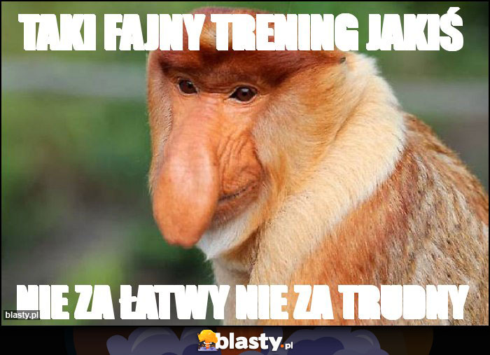 taki fajny trening jakiś