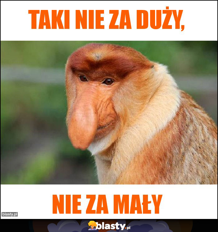 Taki nie za duży,