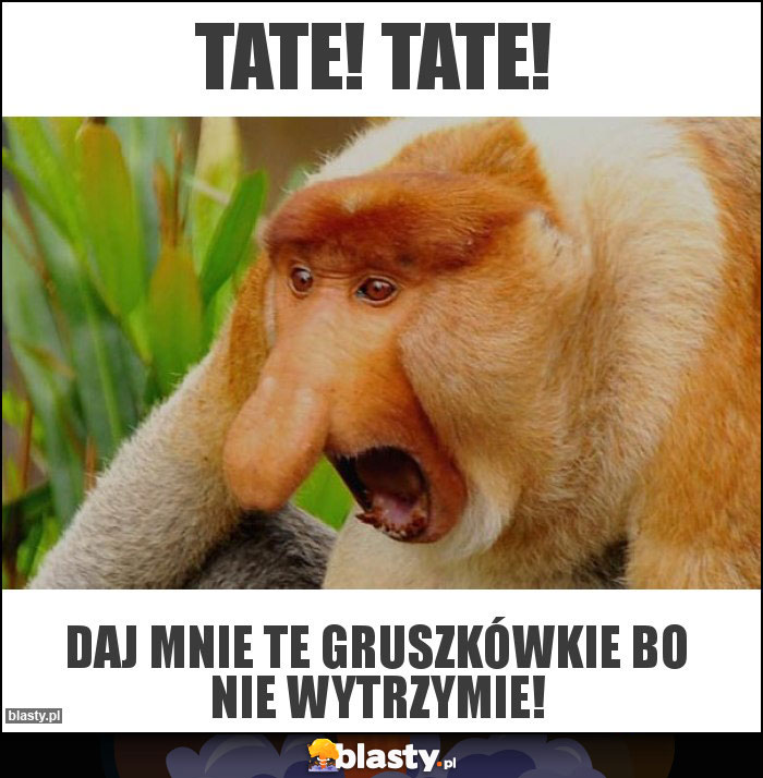 Tate! Tate!