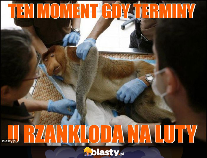 TEN MOMENT GDY TERMINY