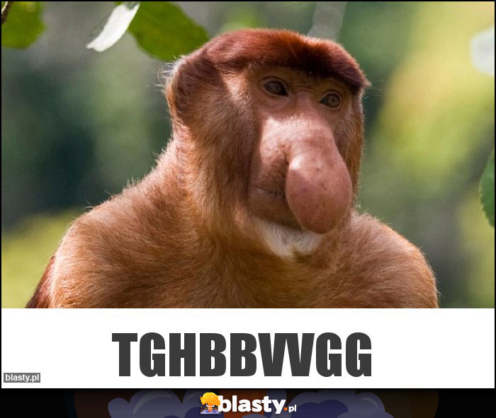 Tghbbvvgg