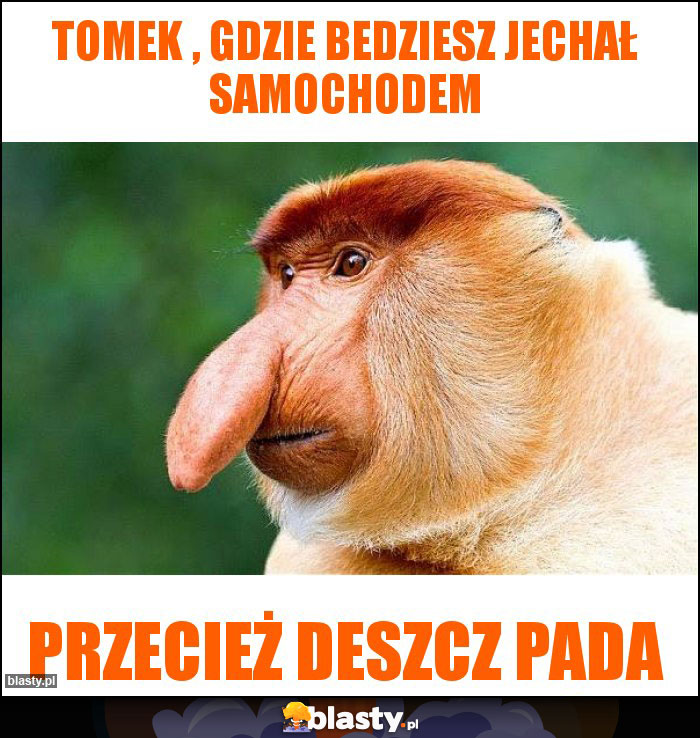 Tomek , GDZIE BEDZIESZ JECHAŁ SAMOCHODEM