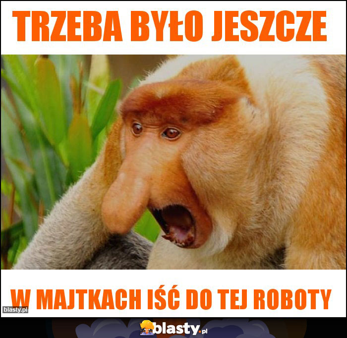 trzeba było jeszcze