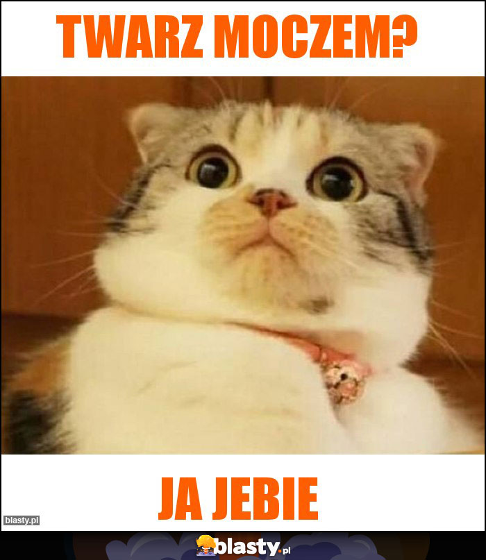Twarz moczem?