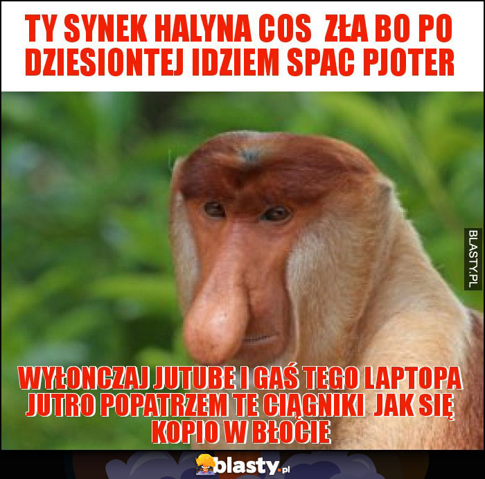 ty synek Halyna cos  zła bo po dziesiontej idziem spac pjoter