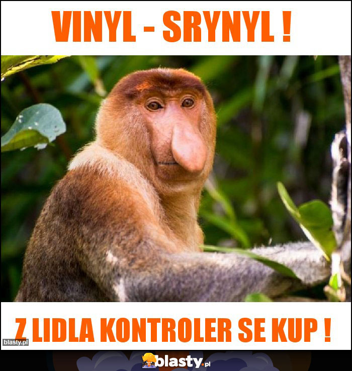VINYL - SRYNYL !