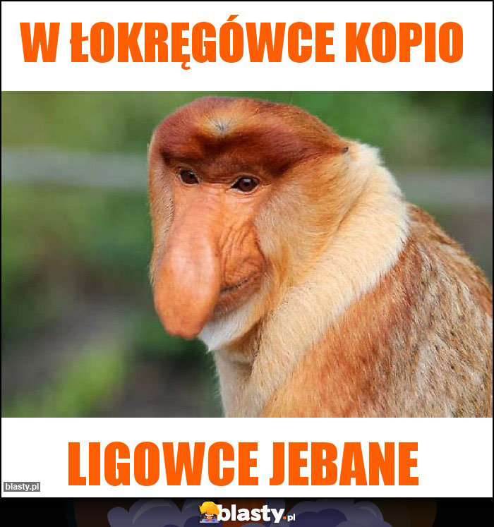 W ŁOKRĘGÓWCE KOPIO
