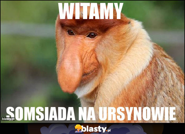 witamy
