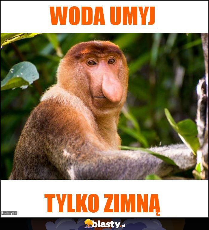 Woda umyj