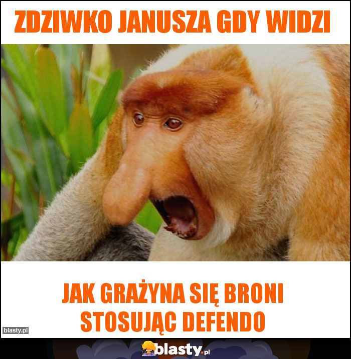 Zdziwko Janusza gdy widzi
