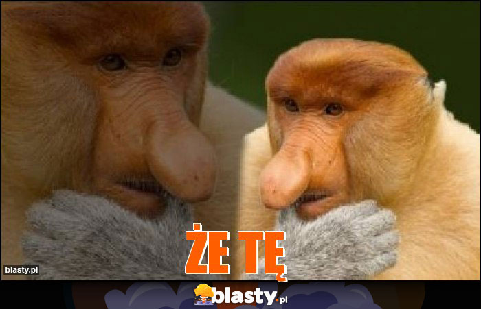 ŻE TĘ