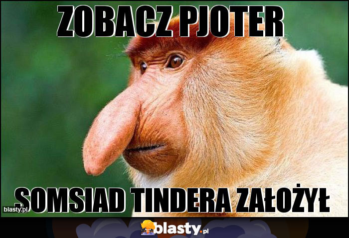 zobacz pjoter