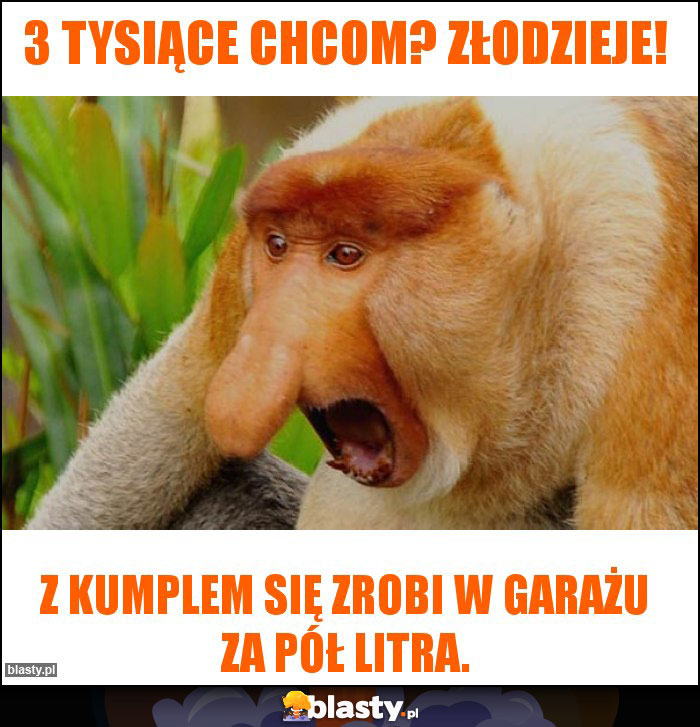 3 tysiące chcom? złodzieje!