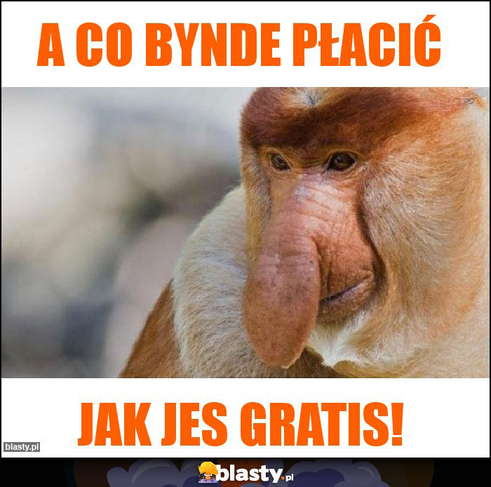 A co bynde płacić