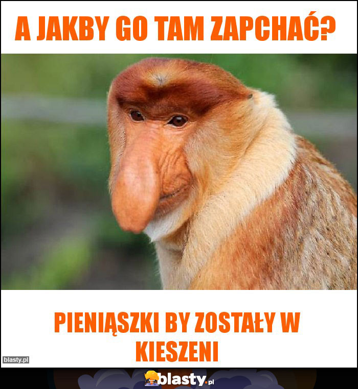 A jakby go tam zapchać?