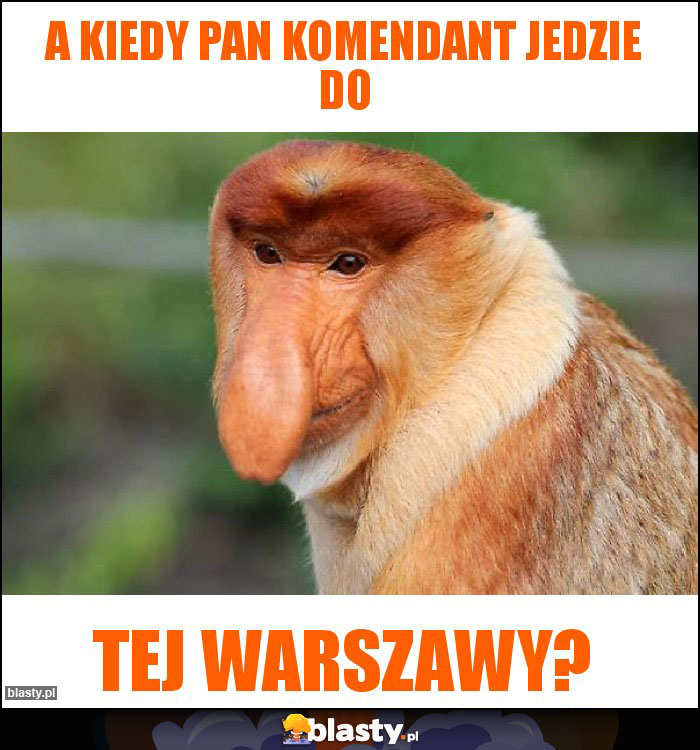 A kiedy Pan Komendant jedzie do