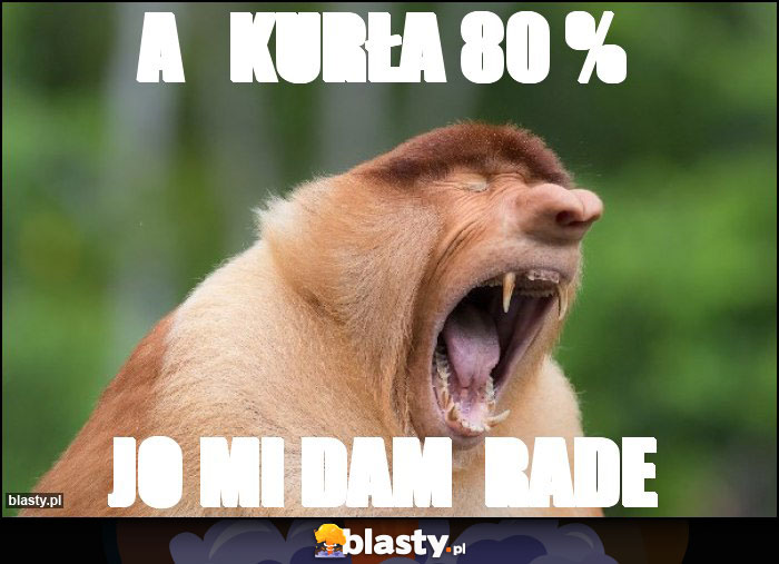 A   kurła 80 %