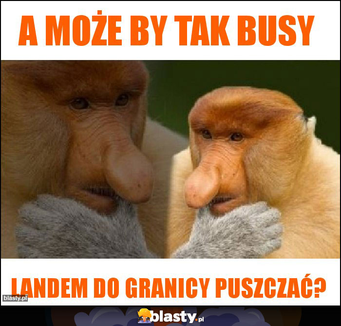 A może by tak busy