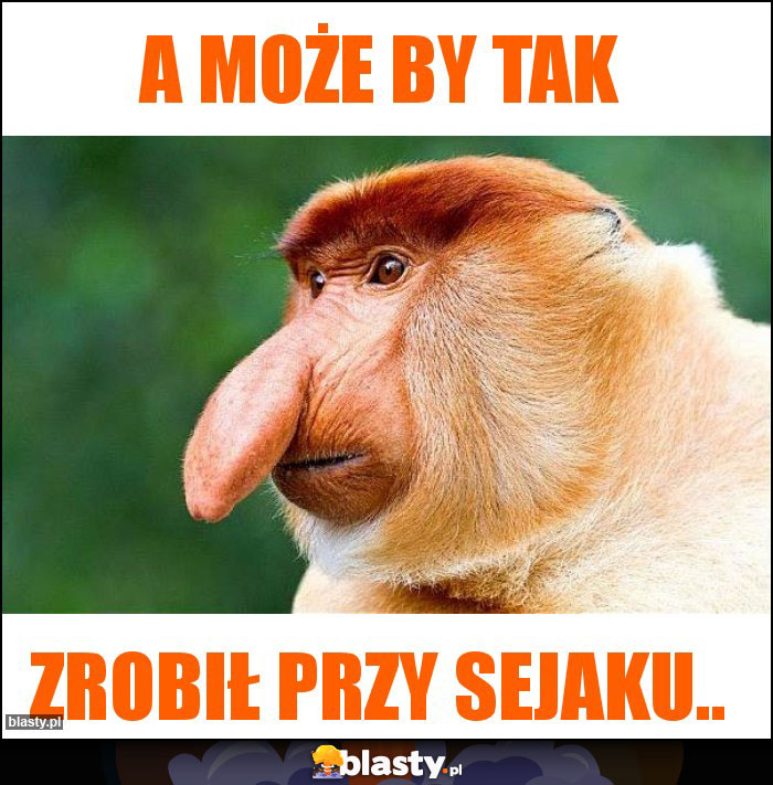 A może by tak