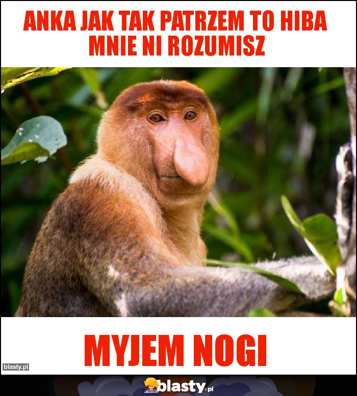 Anka jak tak patrzem to hiba mnie ni rozumisz