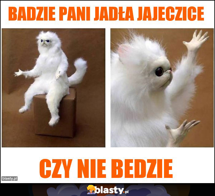 Badzie pani jadła jajeczice