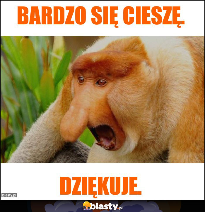 Bardzo się cieszę.