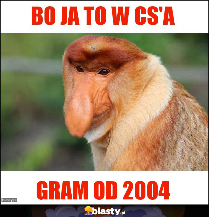 BO JA TO W CS'a