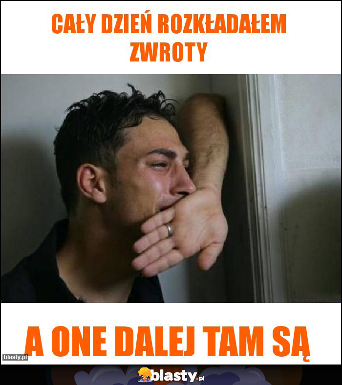 Cały dzień rozkładałem zwroty