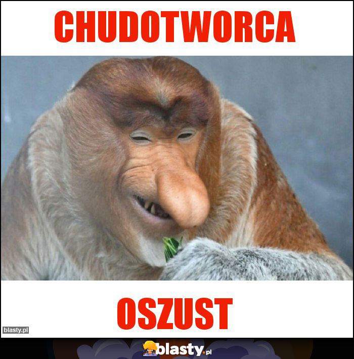 CHUDOTWORCA