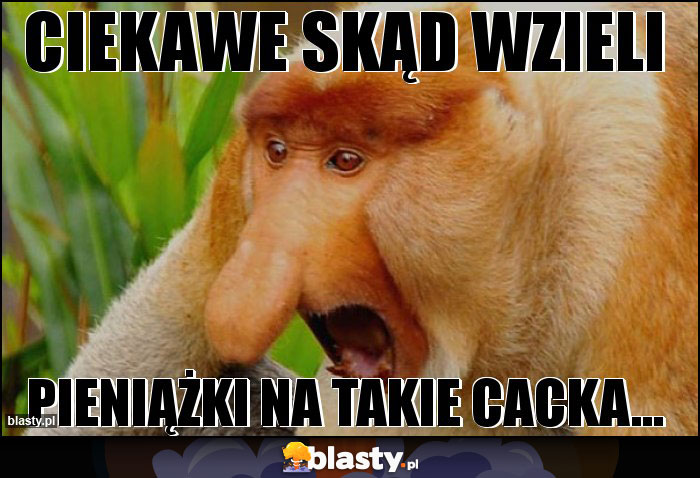 Ciekawe skąd wzieli