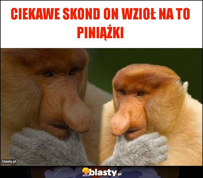 Ciekawe skond on wzioł na to piniążki
