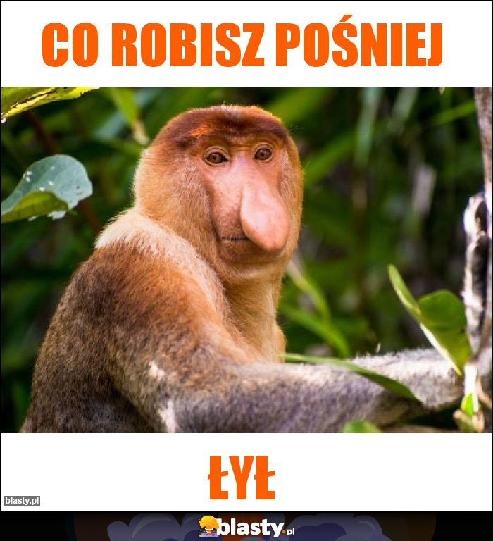 Co robisz pośniej