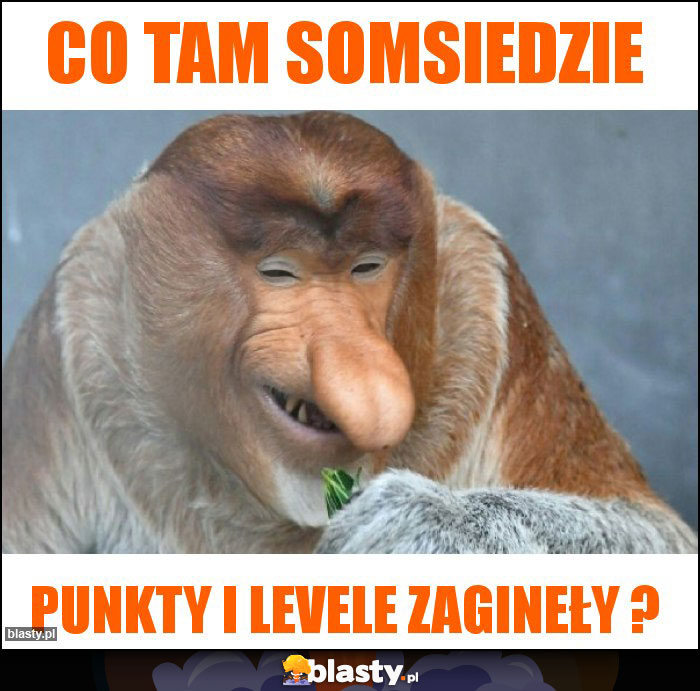 Co tam somsiedzie