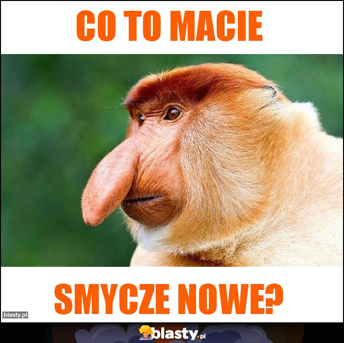 CO TO MACIE
