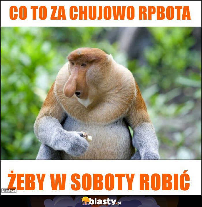 Co to za chujowo rpbota