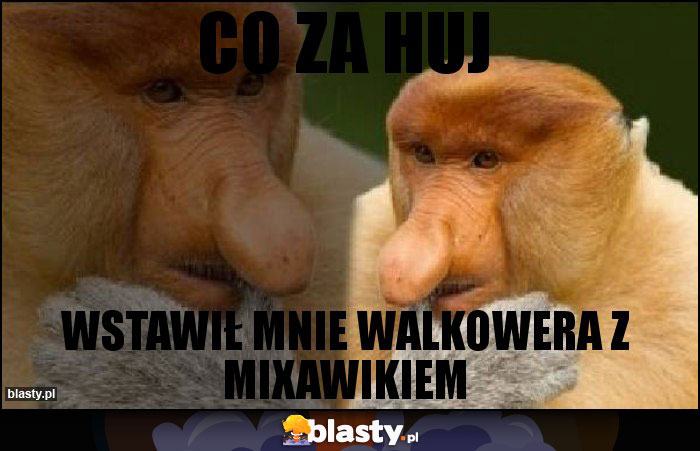 co za huj