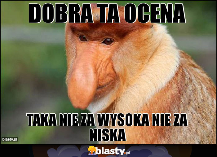 Dobra ta ocena