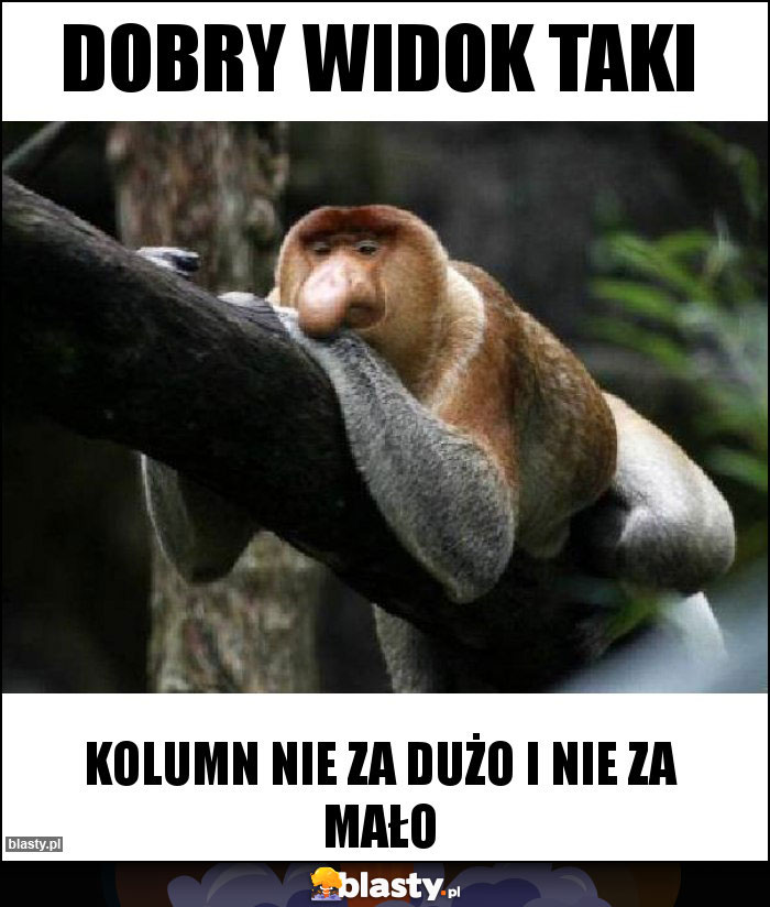 Dobry widok taki