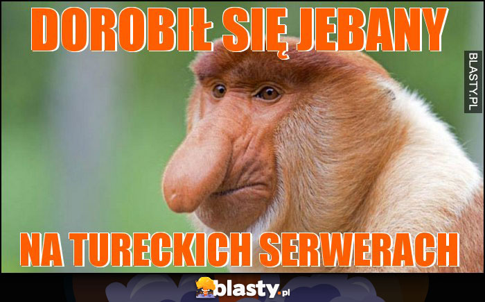 dorobił się jebany
