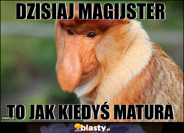 Dzisiaj magijster