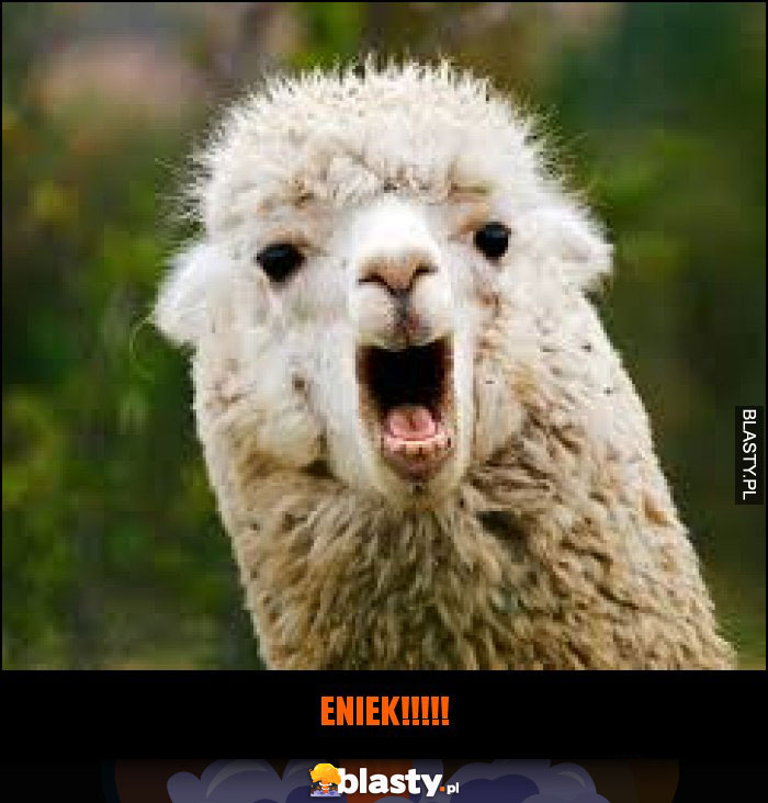 ENIEK!!!!!!