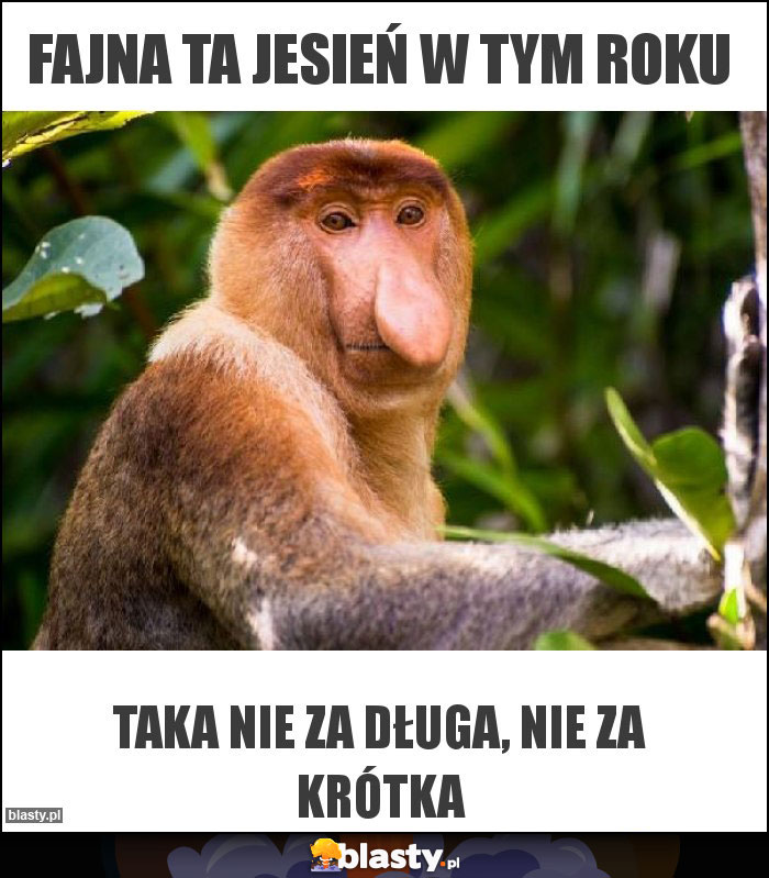 Fajna ta jesień w tym roku