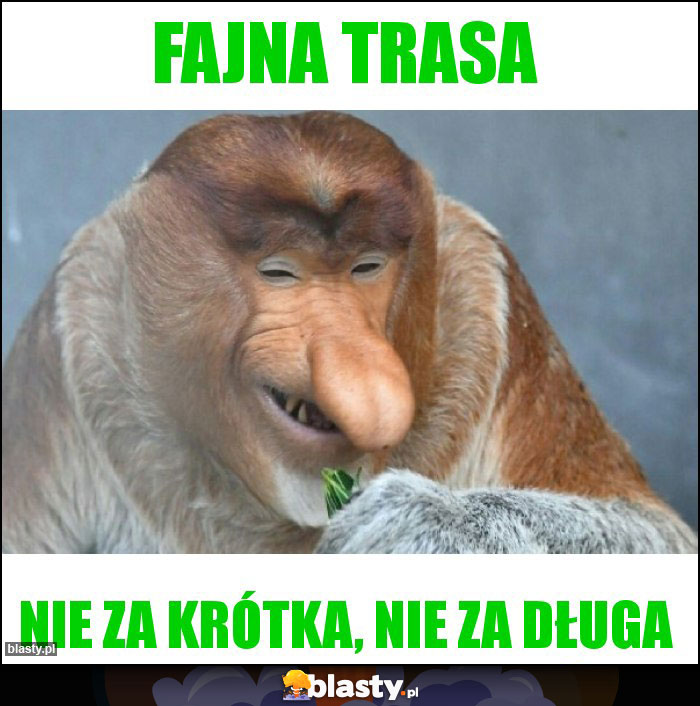 Fajna trasa