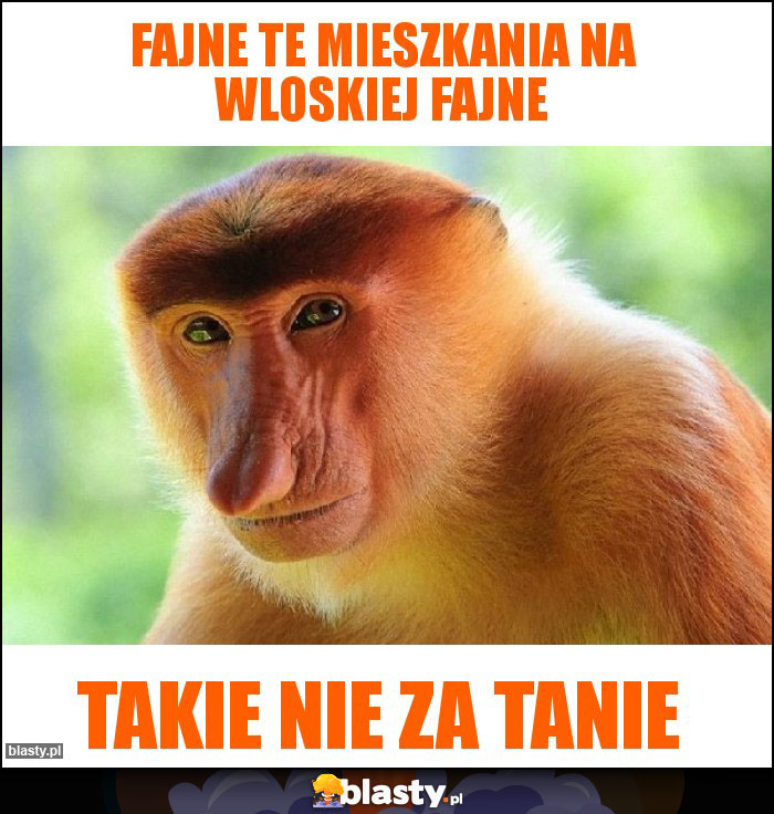 Fajne te mieszkania na wloskiej fajne