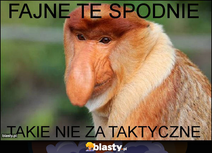 Fajne te spodnie