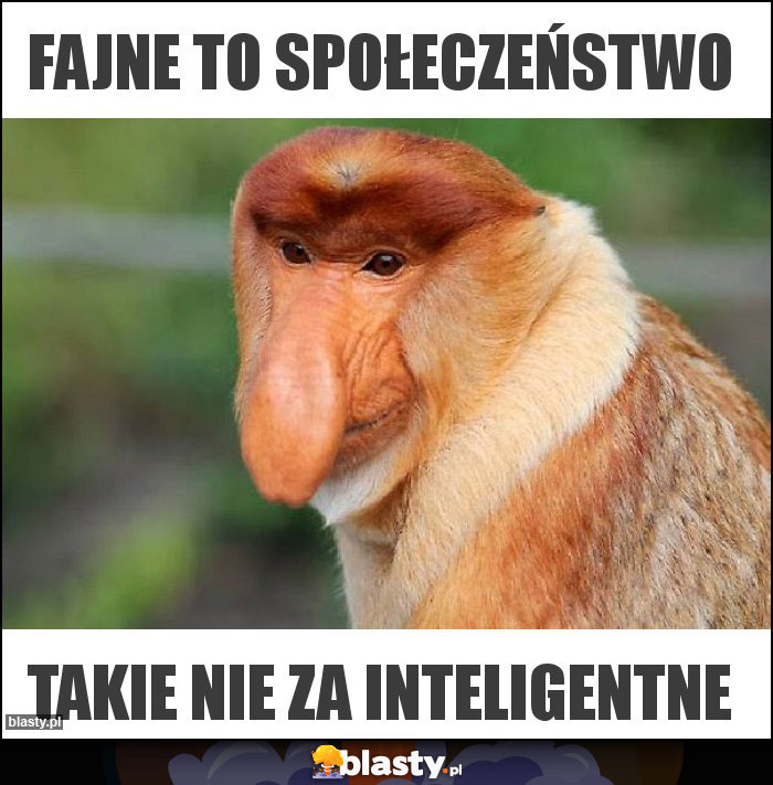 FAJNE To SPOŁECZEŃSTWO