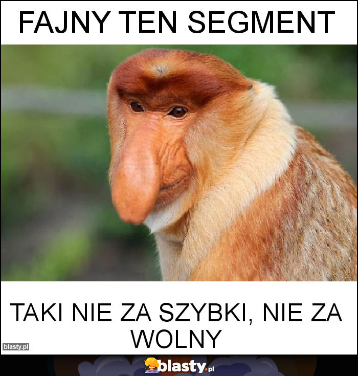 Fajny ten segment