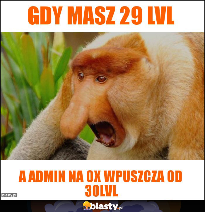 Gdy masz 29 lvl